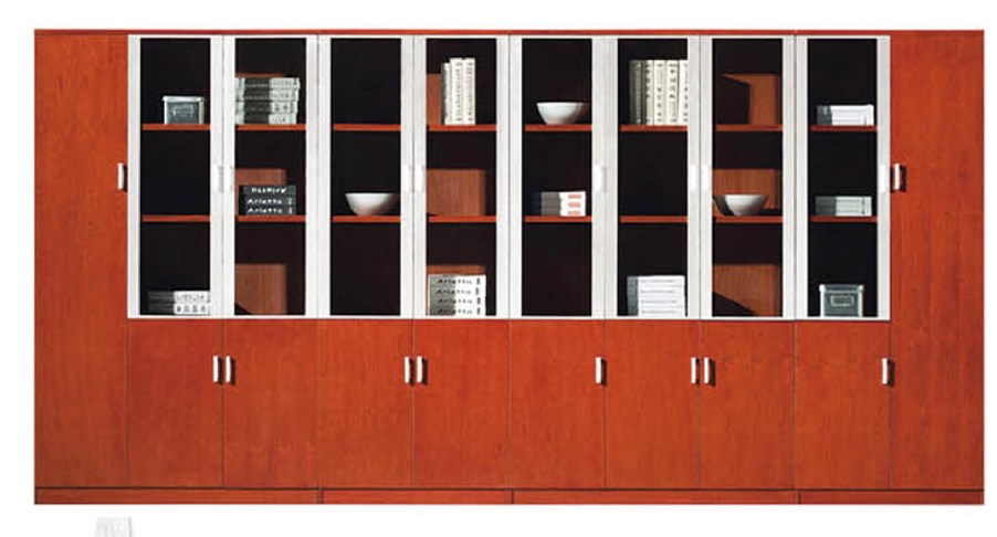 10 doors Bookcase SZ-F022-10
