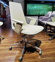 LINGYUN Middle Back Leather Chair